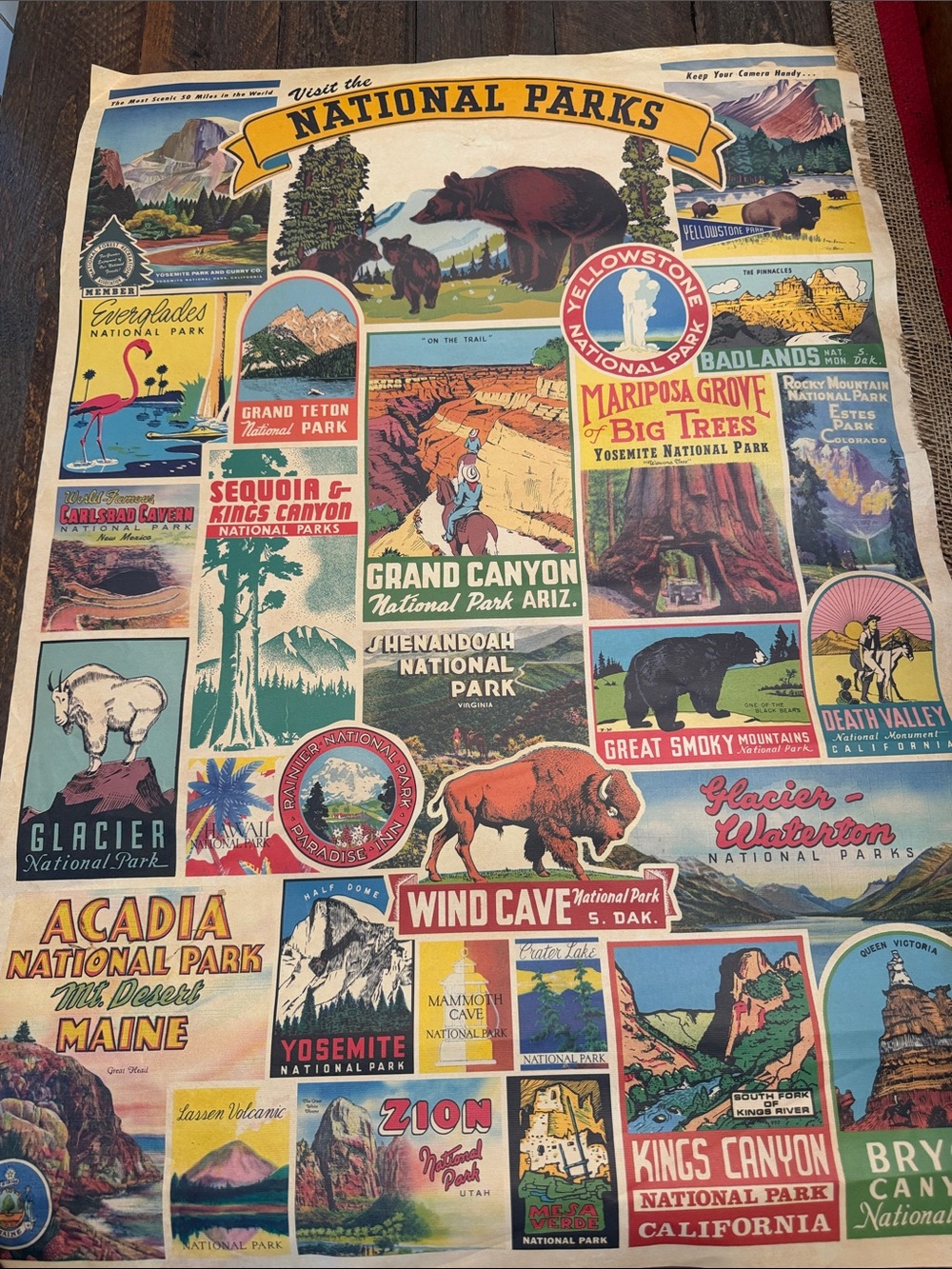 Cavallini Papers Poster 2017 Decorative Wrap 20X28 National Parks 🏞️